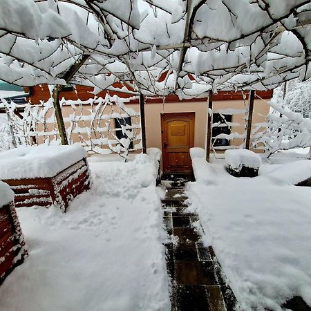 Vineyard Cottage Matej Trebnje Εξωτερικό φωτογραφία