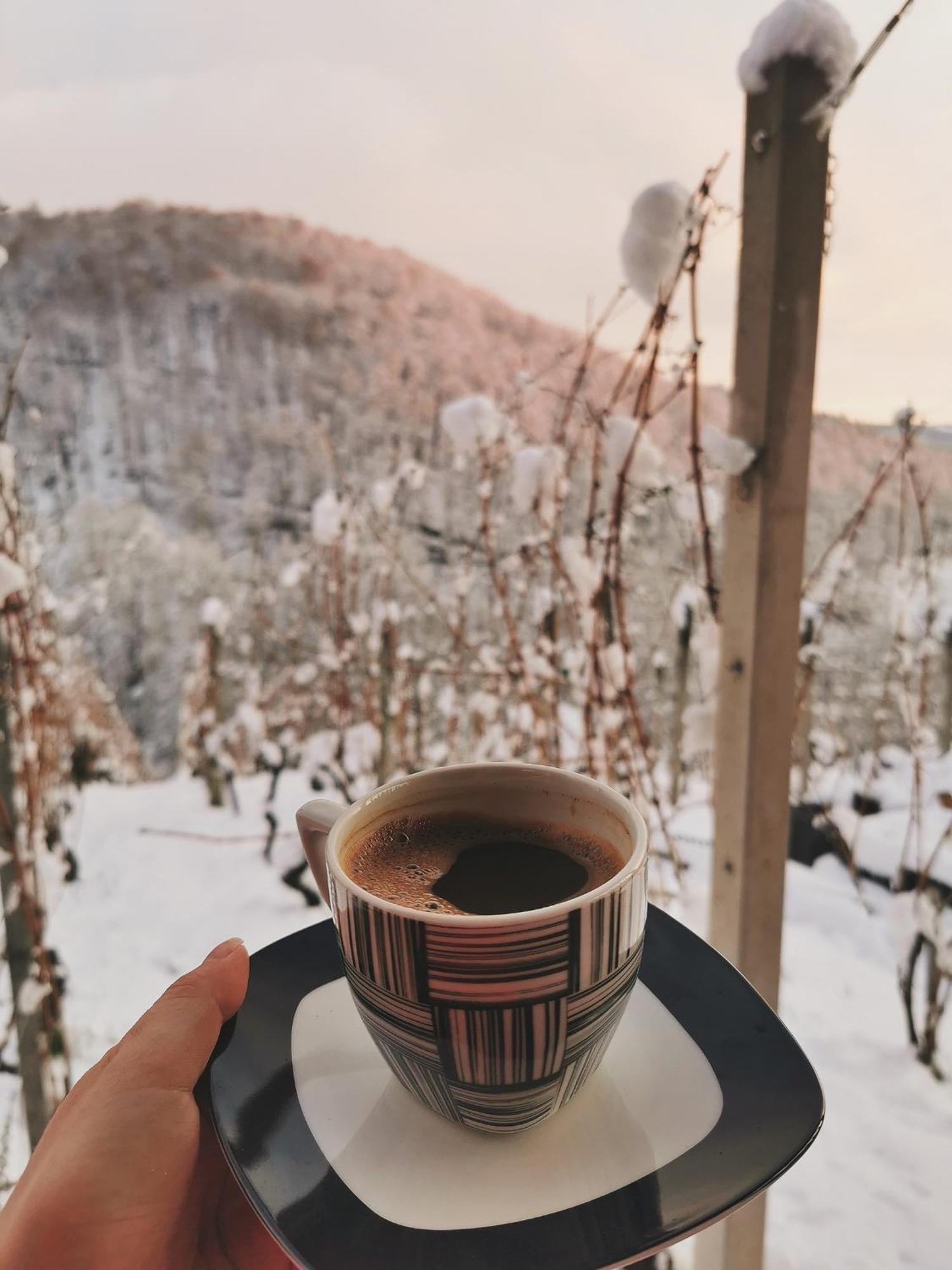 Vineyard Cottage Matej Trebnje Εξωτερικό φωτογραφία