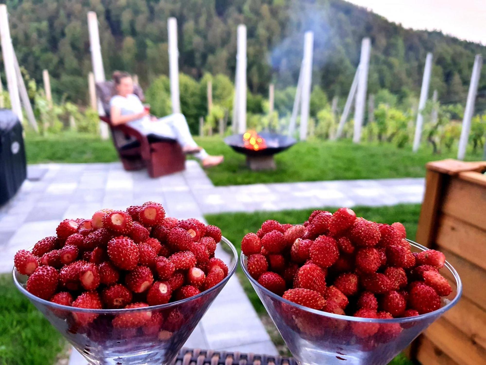 Vineyard Cottage Matej Trebnje Εξωτερικό φωτογραφία