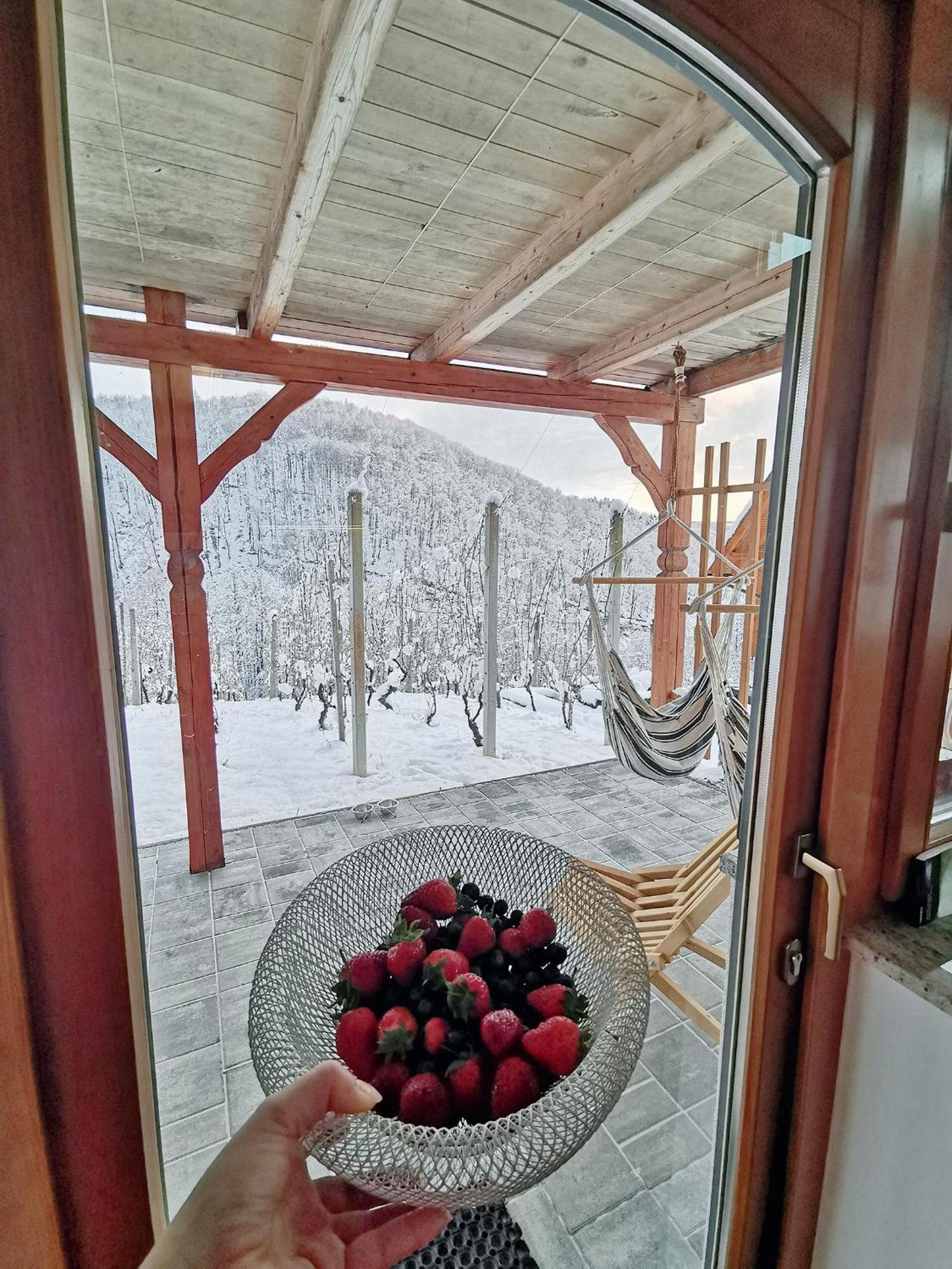 Vineyard Cottage Matej Trebnje Εξωτερικό φωτογραφία